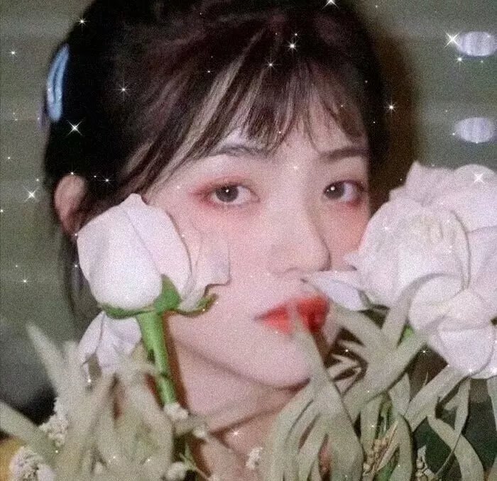 悬崖上的金鱼姬